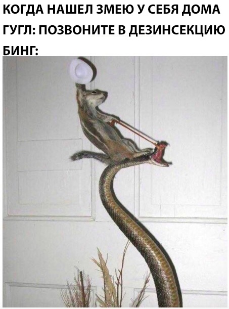 Мемы про Гугл и Бинг