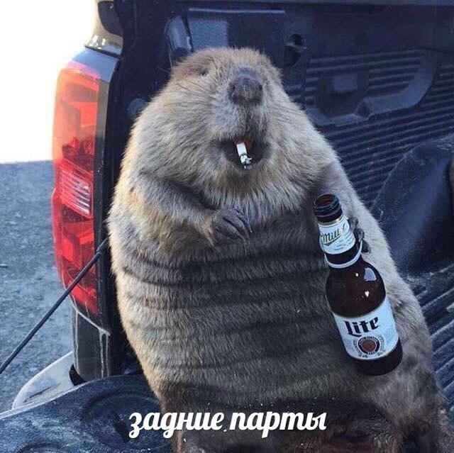 Никакой еды в классе - мем про задние парты