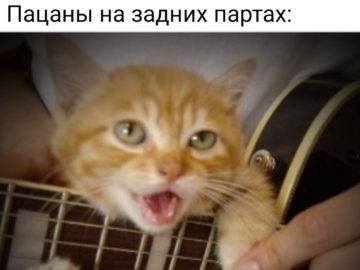 Мем про задние парты