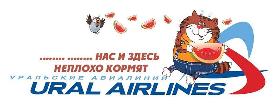Толстый кот Виктор против "Аэрофлота" Толстый кот Виктор против "Аэрофлота"