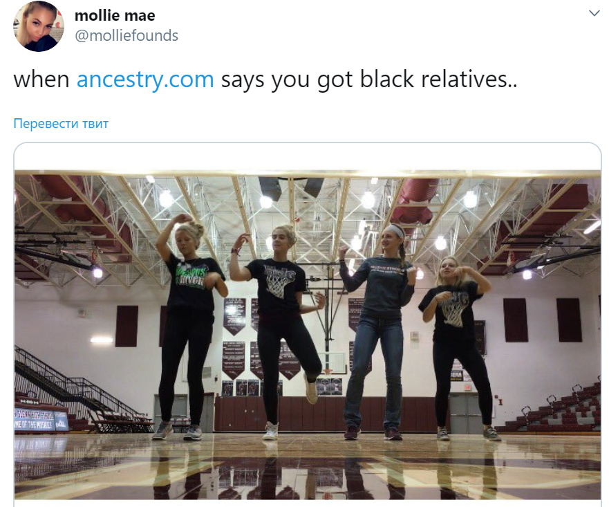 ancestry.com meme ancestry.com meme