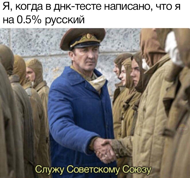 Когда в днк-тесте написано