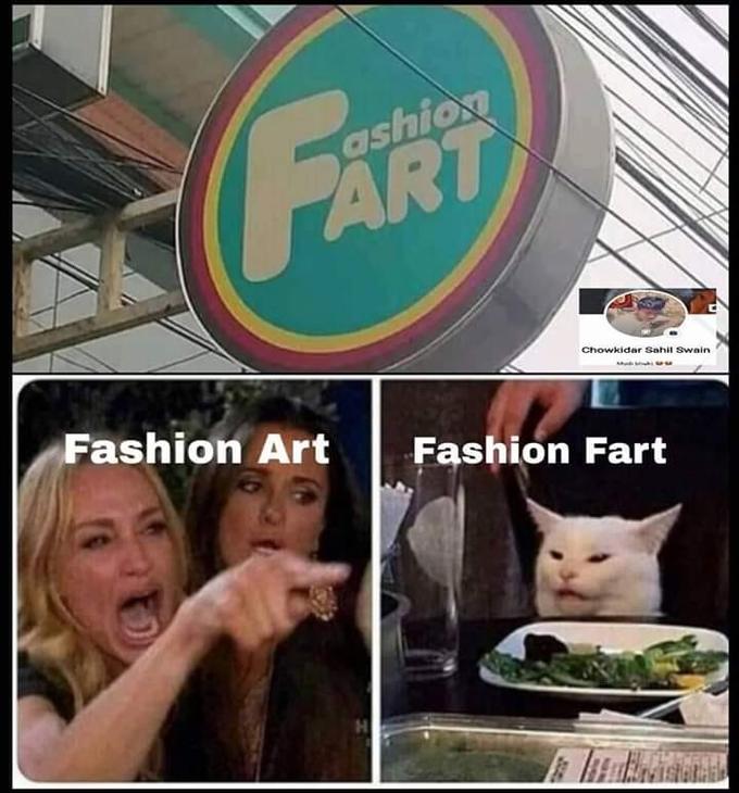 женщина кричит на кота женщина кричит на кота