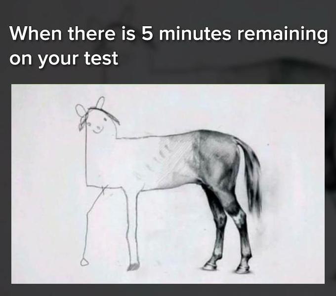 Unfinished Horse Drawing