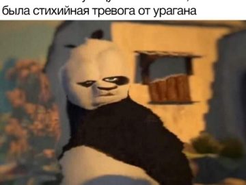 Искаженный Кунг-фу Панда мем