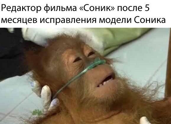 Соника в новом фильме исправили Соника в новом фильме исправили