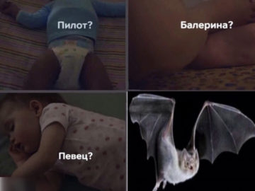 Пилот балерина певец мем