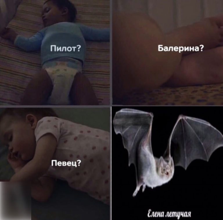 Пилот балерина певец мем
