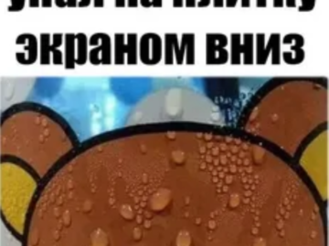 потеющий медведь рилаккума