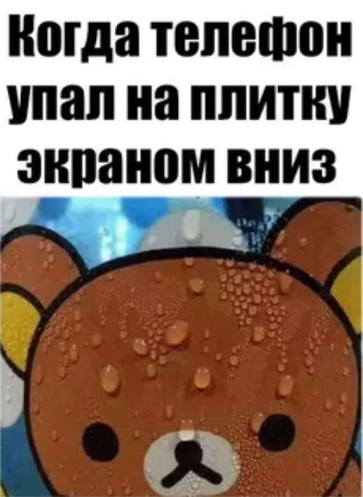 потеющий медведь рилаккума