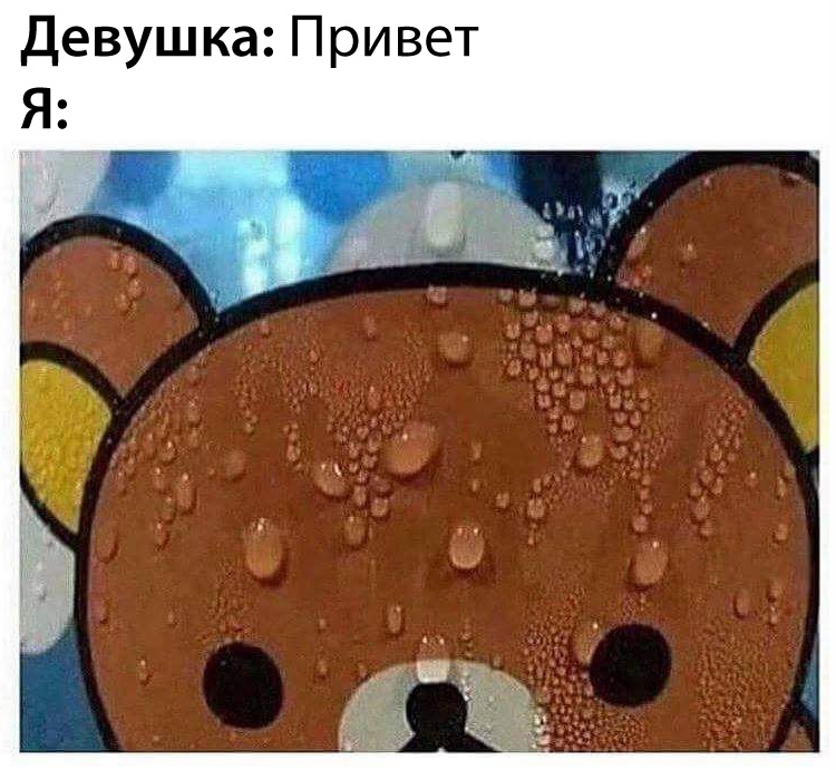 потеющий медведь рилаккума