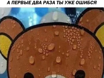 потеющий медведь рилаккума