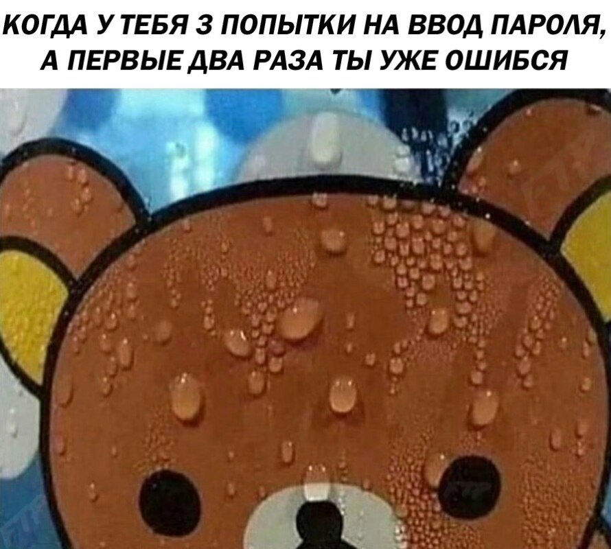 потеющий медведь рилаккума