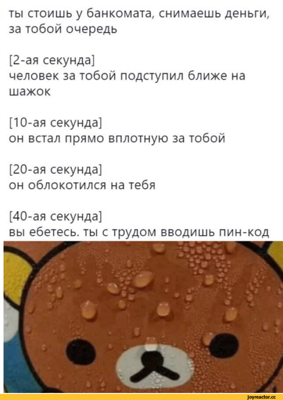 потеющий медведь рилаккума