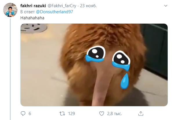 Лысый хвост кота слоник Лысый хвост кота слоник