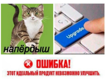 Напердыш