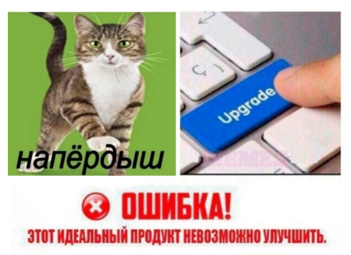 Напердыш