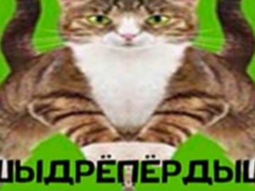 Напердыш