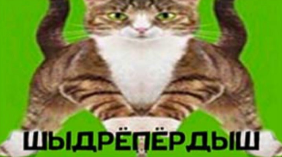 Напердыш