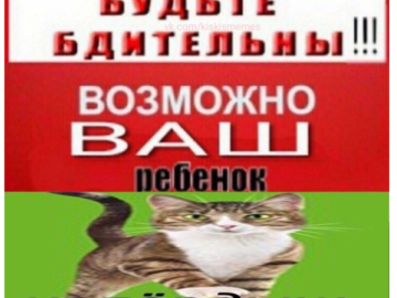 Напердыш