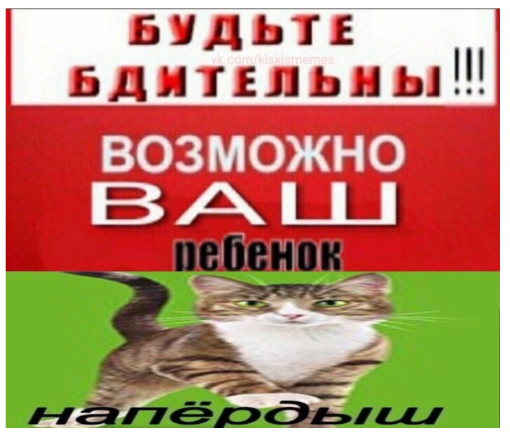 Напердыш