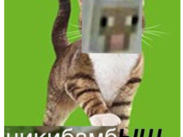 Напердыш
