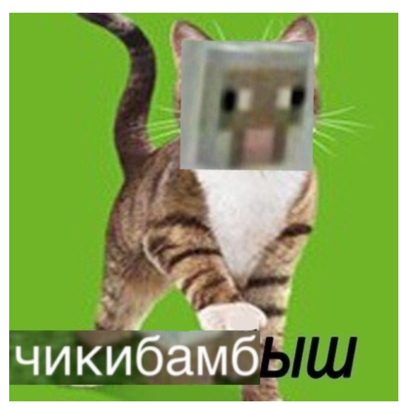 Напердыш