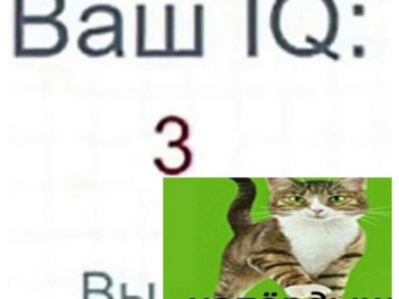 Напердыш
