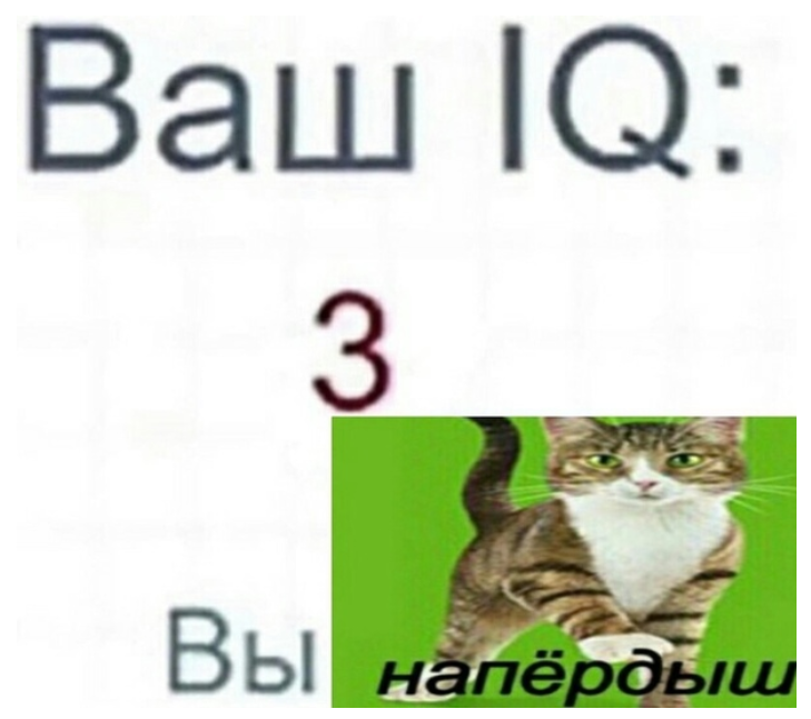 Напердыш