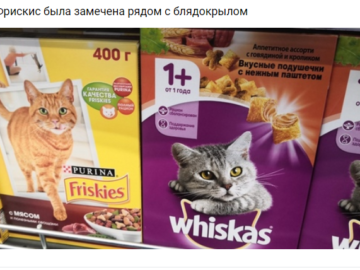 Саблезубый блядокрыл