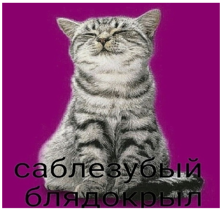 Саблезубый блядокрыл