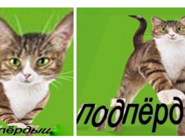 Подпердыш
