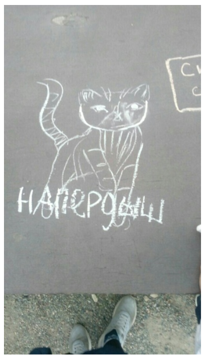 Напердыш