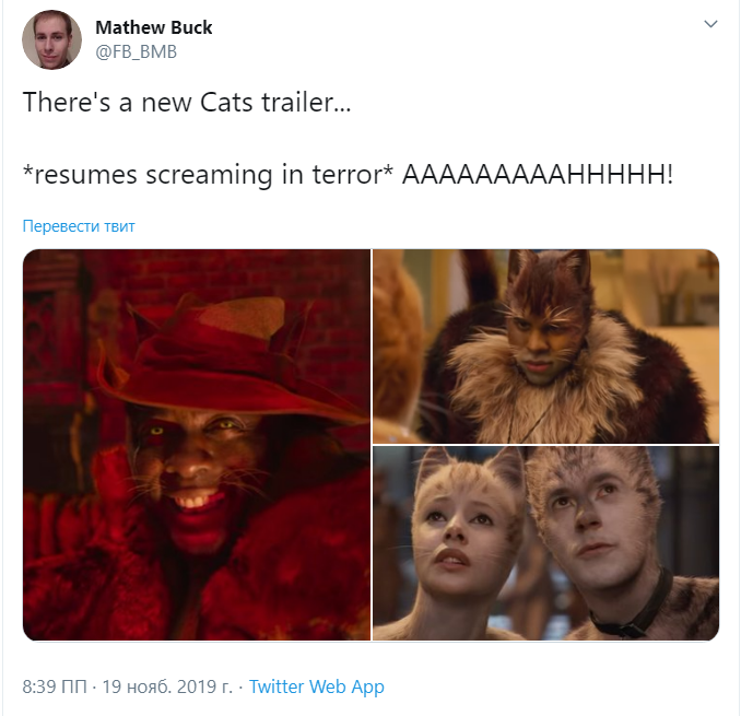 трейлер кошек