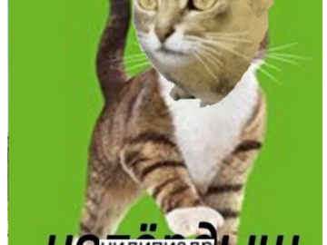 Напердыш