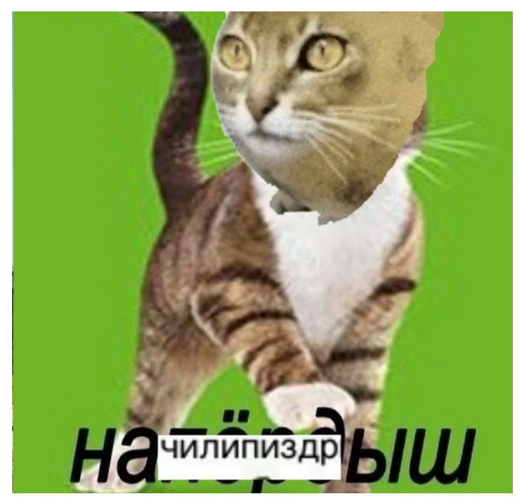 Напердыш