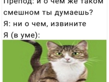 Напердыш