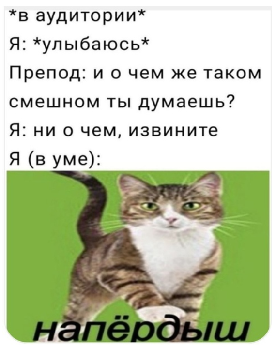 Напердыш