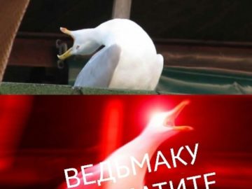 Ведьмаку заплатите чеканной монетой