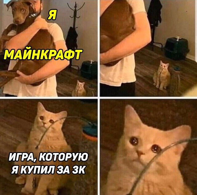 Кот смотрит на хозяина с собакой