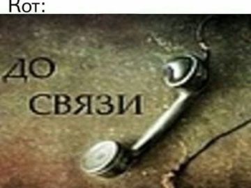 До связи мем