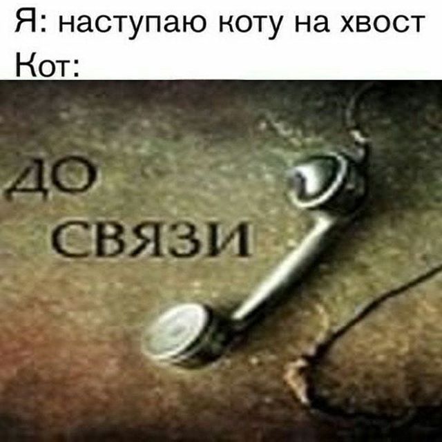 До связи мем