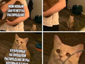 Кот смотрит на хозяина с собакой