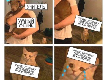 Кот смотрит на хозяина с собакой