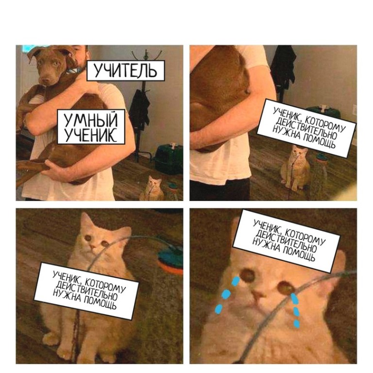 Кот смотрит на хозяина с собакой