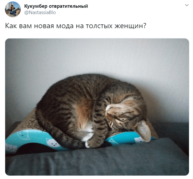 Как вам новая мода на толстых женщин? Как вам новая мода на толстых женщин?