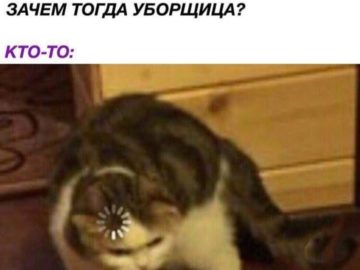 Кот грузится