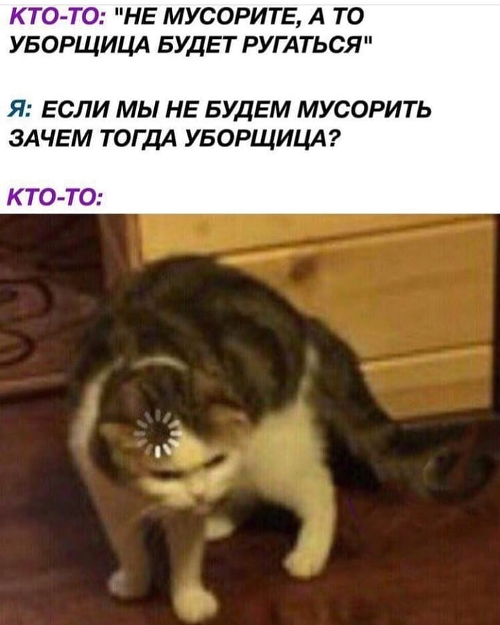 Кот грузится