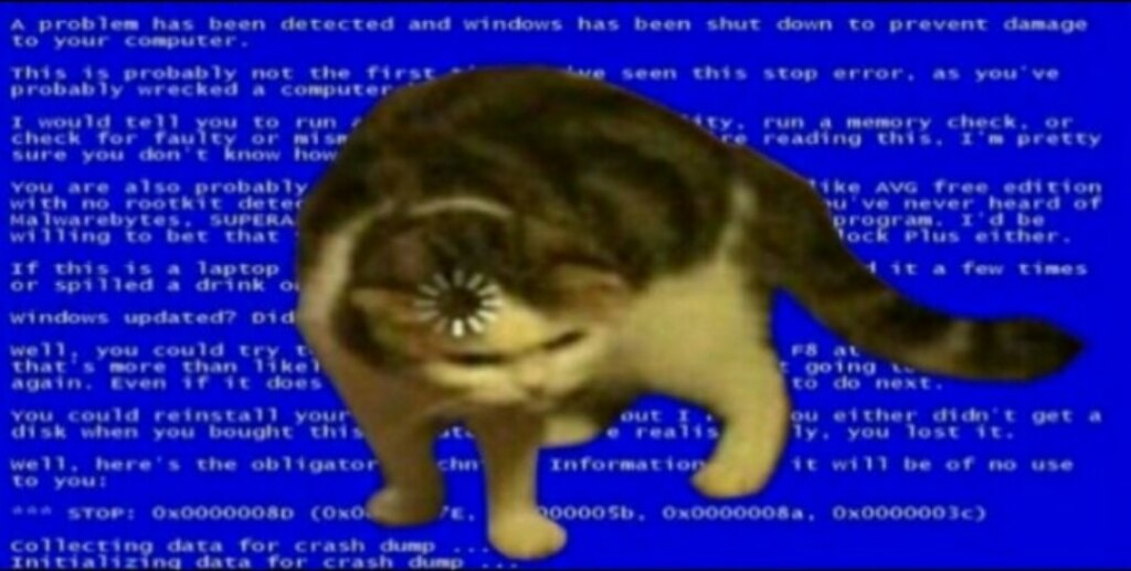 Кот грузится мем Кот грузится мем