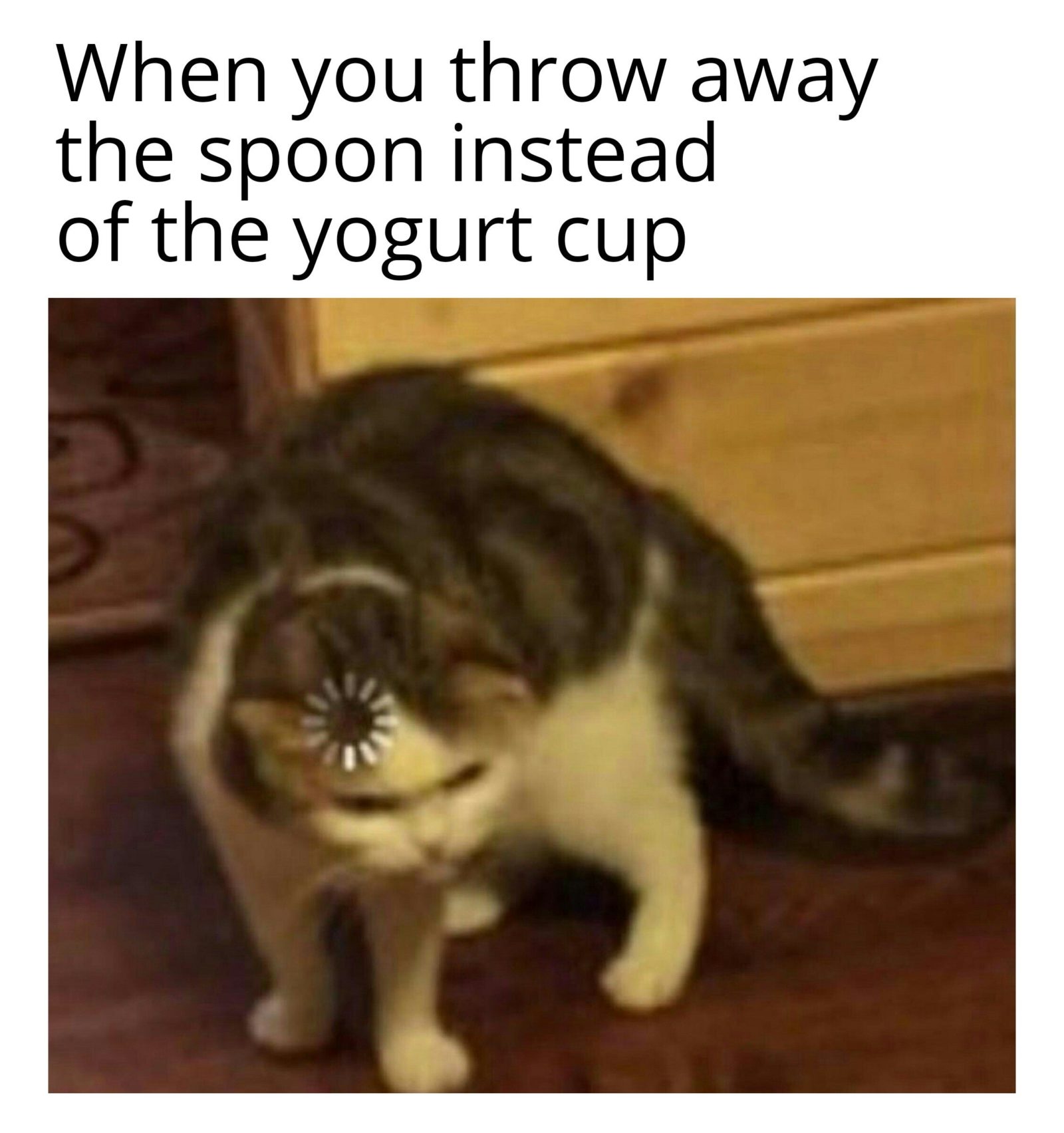 Кот грузится